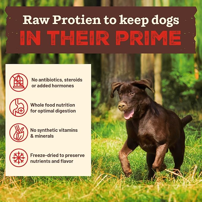 Primal Kibble in The Raw, Freeze Dried Dog Food, Chicken, Scoop & Serve, Made with Raw Protein, Whole Ingredient Nutrition, Crafted in The USA, Dry Dog Food 9 lb Bag