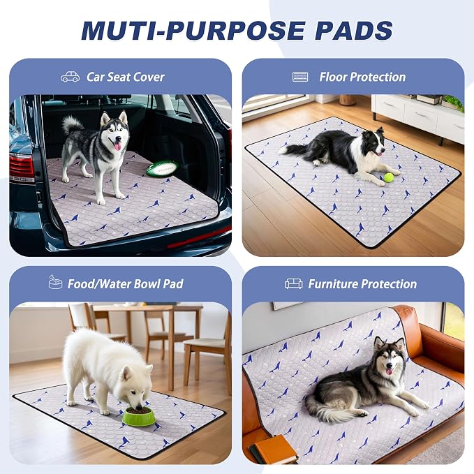 WanpeeGoo Washable Pee Pads for Dogs, 1 Pack Reusable Puppy Pads, Super Absorbent & Leakproof Dog Pads, Anti-Slip Dog Pee Pads for Puppy Training & Incontinence, Dolphin Pattern 65"x48"