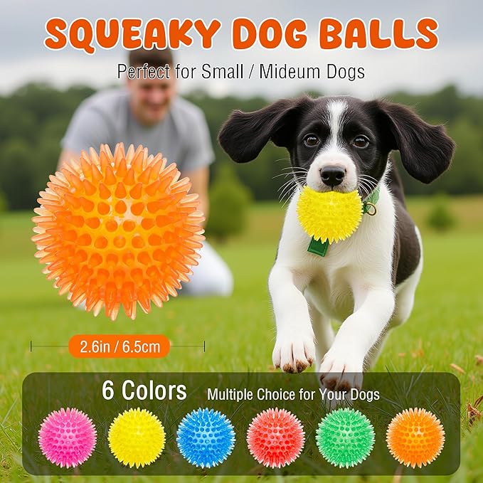 Labeol 2.6” Heavy Duty Squeaky Balls for Dogs 6 Pack Puppy Chew Toys for Teething TPR Fetch Spike Dog Balls Dog Chew Toys for Small and Mideum Breed