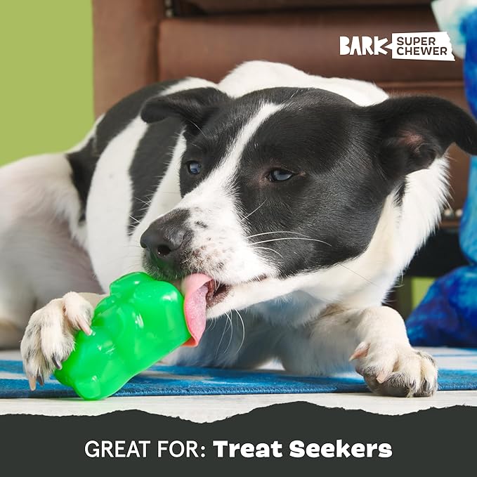 Barkbox Munchie The Bear Dog Toy for Treat Dispensing and Bouncing for Dogs up to 20 lbs, Small
