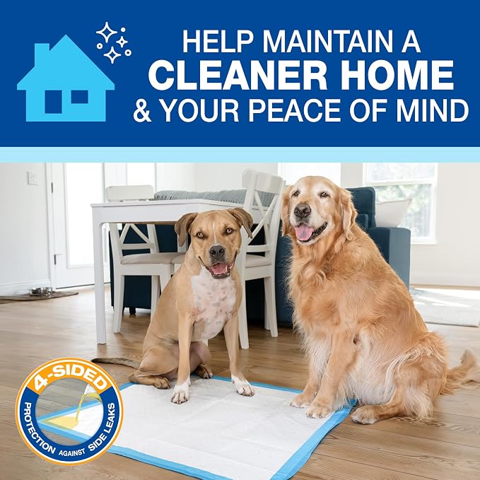 Four Paws Wee-Wee Superior Performance Gigantic Dog Pee Pads, 18 Count | Puppy & dog potty training pads, all day floor protection, housebreaking pet supplies, leak-proof puppy pads, 27.5" x 44"