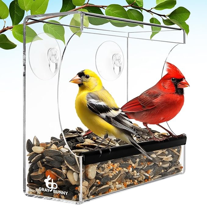 Clear Window Bird Feeder - Premium Bird Feeder for Outdoors with Strong Suction Cups with Drain Holes and Large Seed Capacity
