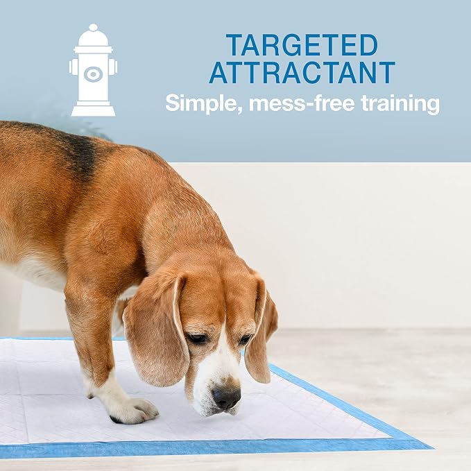 Four Paws Wee-Wee Ultimate Attractant Dog Pee Pads, Grass Scent, 10 Count | Smells like real grass, leak-proof puppy pads, dog housebreaking & potty training, 24-hour floor protection, 22" x 23"