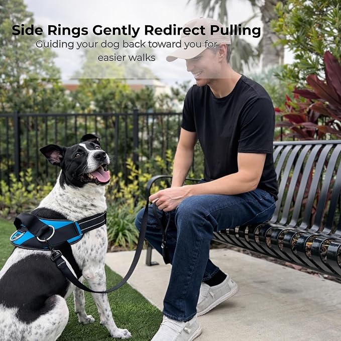 ShawnCo Essential Dog Harness, No-Pull Pet Vest (Driftwood,S) | 3 Leash Clips, Easy On, No-Choke, Reflective, Adjustable Fit, Padded Comfort, Control Handle, For Small, Medium & Large Dogs