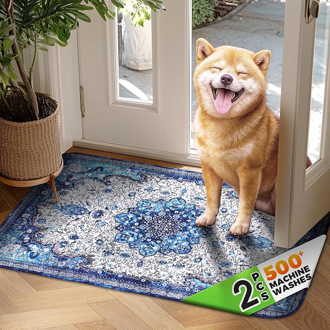 Hompet 2 Pack Super Absorbent Dog Door Mat for Muddy Paws, Washable Pee Pads for Dogs, Reusable Puppy Training Pads, Quick Dry Non-Slip Pet Entryway Rug, Leak-Proof Potty Pad for Indoor Floors 18x28