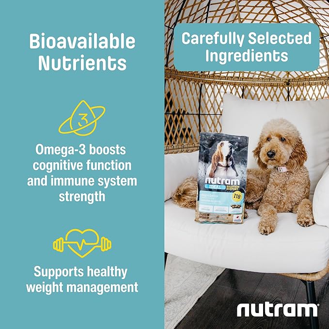 I18 Healthy Weight Management Dry Dog Food | High Protein, Low Fat Chicken Meal & Peas Kibble | Muscle Builder Formula for All Breeds (4.4 Pounds)