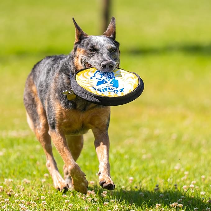ZooBee Flying Disc Dog Toy – Dog Vision Friendly Colors – Soft & Durable Frisbee for Outdoor Play, Water Fetch & Pool Fun – Safe on Teeth – Floating Dog Toy – Lightweight & Easy to Throw