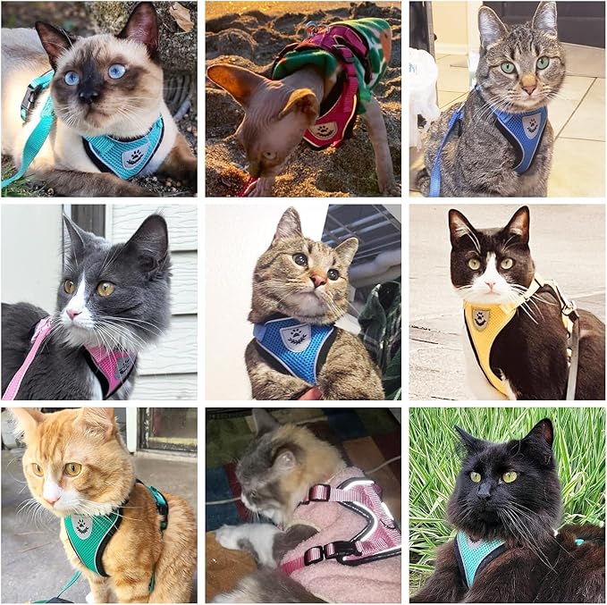 PUPTECK Cat Harness and Leash Set Escape Proof Reflective Cat Walking Harness Adjustable Soft Breathable Mesh Vest for Small Pets, Black, S