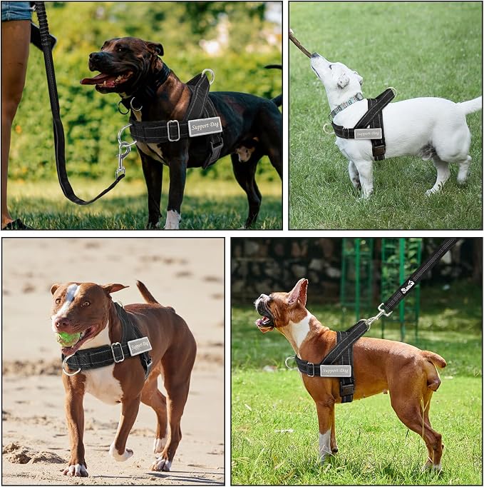 SlowTon No Pull Dog Harness with Front Clip - Heavy Duty, Soft Padded | Neck & Chest Adjustable, Tactical Pet Vest and Leash Set for Large Medium Sized Dogs, for Easy Walk & Training, Black S