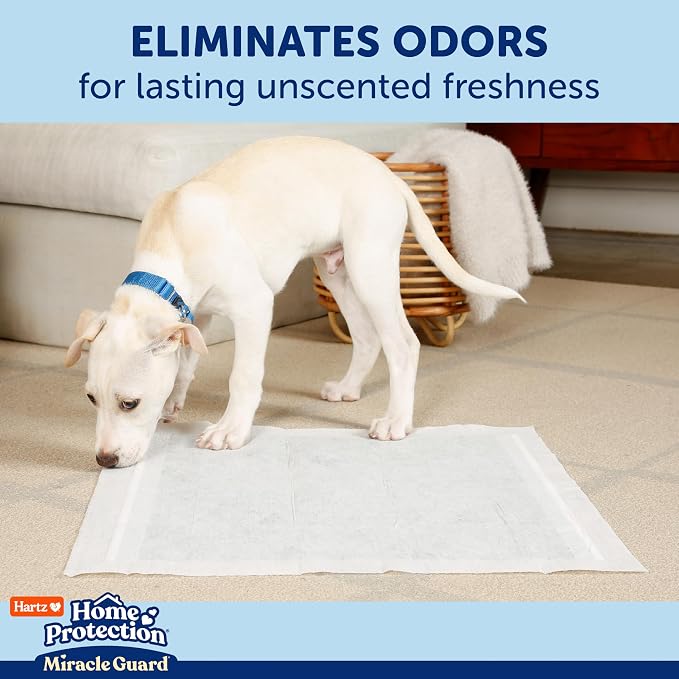 Hartz Miracle Guard Dog and Puppy Dog Pads Max Absorbency 24 Hour Use Odor Eliminating No Leaks, Regular Size 50 Count (Pack of 3)