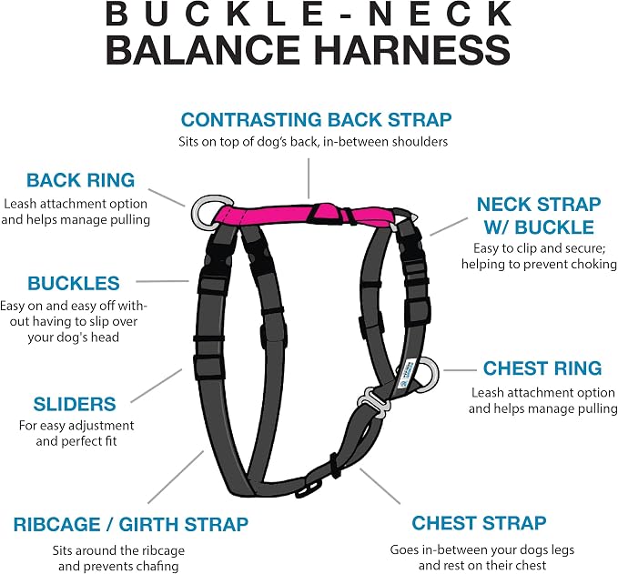 Blue-9 Buckle-Neck Balance Harness, Fully Customizable Fit No-Pull Harness, Ideal for Dog Training and Obedience, Made in The USA, Hot Pink, Medium/Large