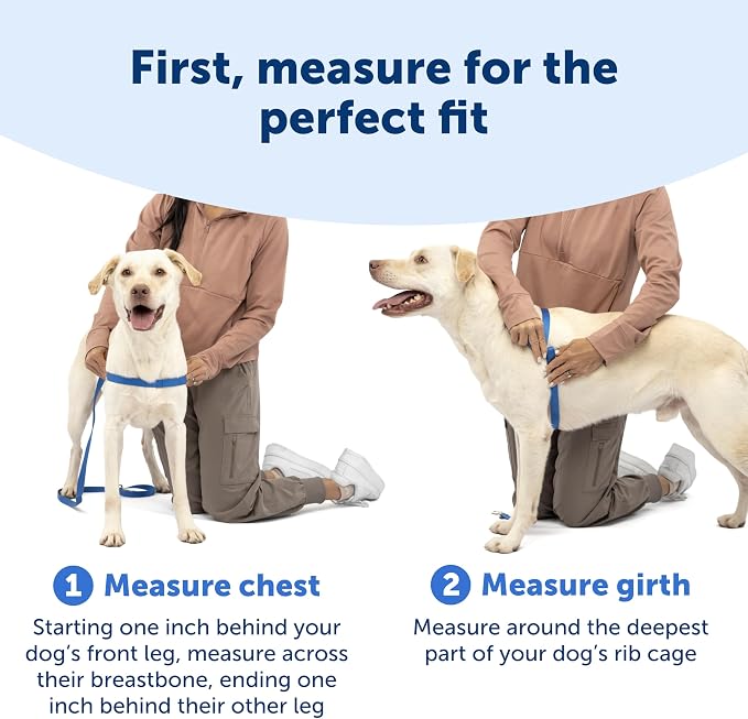 PetSafe Easy Walk Harness, No Pull Dog Harness, Black, Small/Medium | Patented Martingale Loop Gives Gradual Shoulder Pressure to Stop Pulling, Front-Chest Leash Clip Prevents Gagging
