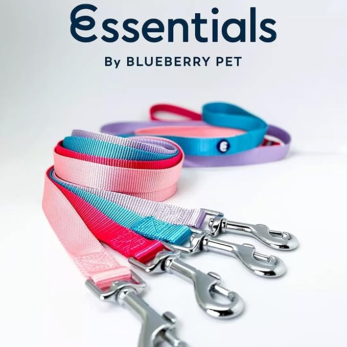 Blueberry Pet Essentials Fuchsia Pink Dog Leash for Large - 4' * 1" Dogs | Heavy Duty Nylon Lead | Lightweight Puppy & Cat Leash for Walking & Training