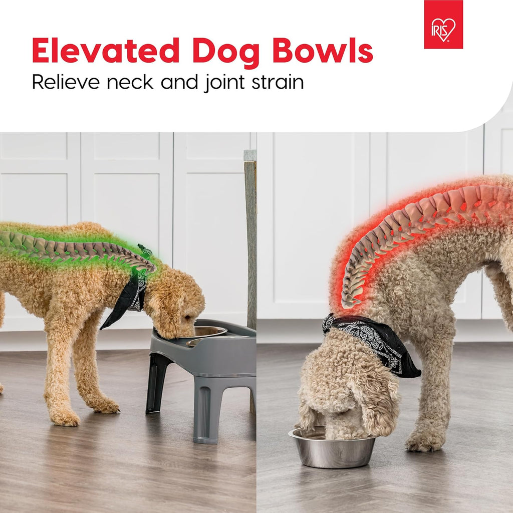 IRIS USA Elevated Dog Bowls, Adjustable Height, 2 Thick 64 oz Stainless Steel Bowls, Spill-Proof with Raised Outer Rim, Durable Made in USA Plastic, Easy Assemble, 2 Heights 4.63" or 12.25" Dark Gray