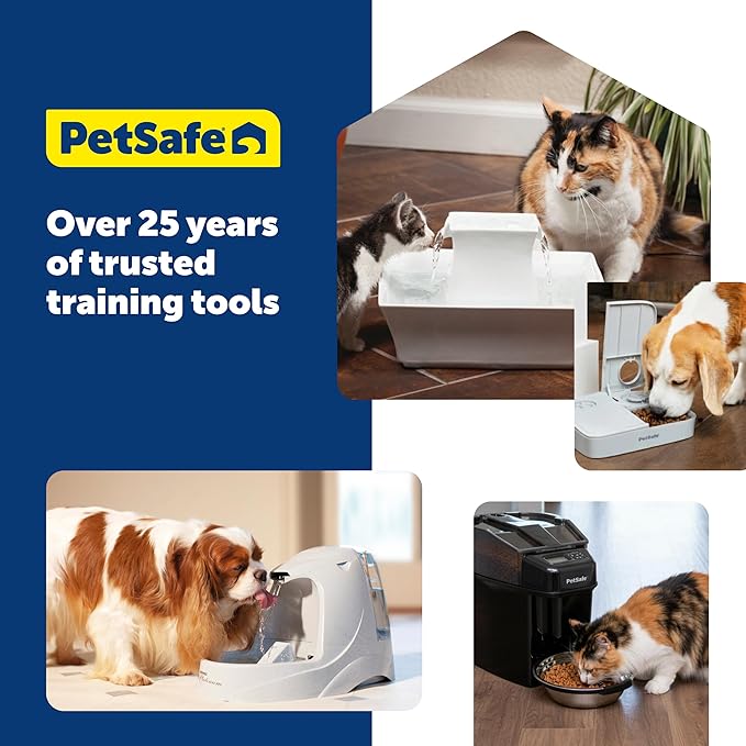 PetSafe Seaside Stainless Steel Cat & Dog Fountain, 60 Oz Water Capacity - 2 Water Filters & 1 Pump Included, Soothing Flow for Pets, Scratch-and Rust-Resistant Material - Quiet Motor