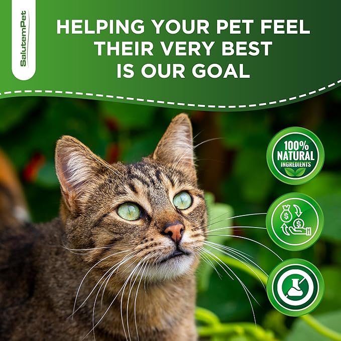 Probiotics for Cats for Digestive Support – Cat Probiotics for Indoor Cats Help with Colic, Upset Stomachs, Diarrhea, Gas, and Bloating – Prebiotics + Pleasant Chicken Flavor Inside – 2 Oz