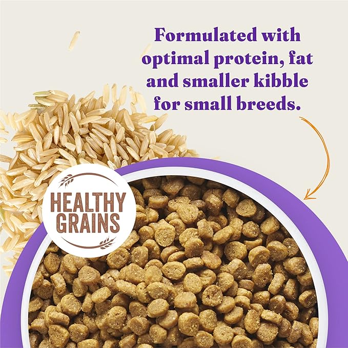 Halo Holistic Small Breed Dog Food, Cage Free Chicken & Brown Rice Recipe, Healthy Grains Dry Dog Food, Complete Digestive Health, 10 lb Bag