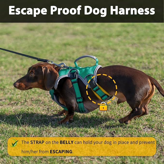 Escape Proof Dog Harness, Dachshund Harness, Reflective Dog Harness with Handle, Durable,Adjustable Vest for Small Medium Large Dogs Walking, Training, and Running Gear (Mint Green,XL)