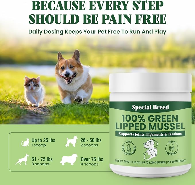 Green Lipped Mussel Powder for Dogs & Cats - 100% New Zealand Green Lipped Mussels - Natural Hip & Joint Supplement for Joints, Tendons, Ligaments, Muscles - 300 Grams - Up to 1,000 Servings