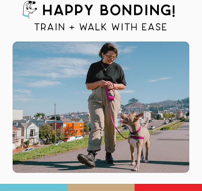 No Pull Dog Harness | Comfortable Training Harnesses | Effective No Pull Harness Design | Ideal for Medium Sized Dog | 4-Point Adjustable(M - 22~28 inch Girth, Fuchsia)