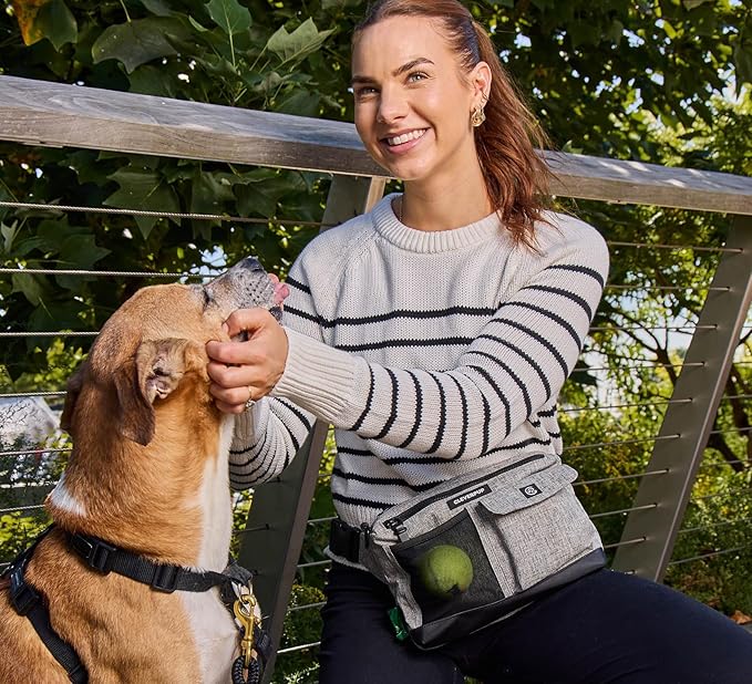 Dog Walk & Train Sling Bag by Cleverpup - Hands-Free 2-In-1 Treat Pouch, Poop Bag Holder, Clicker, Phone Pocket - Crossbody/Fanny Pack, Adjustable Strap - Heather Grey