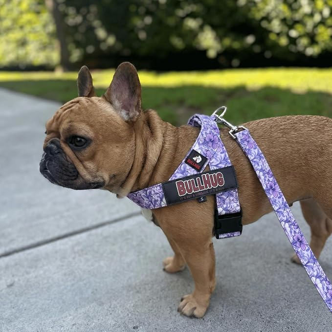 Adjustable Dog Harness– No Pull, No Choke – for English Bulldogs, French Bulldogs, Pugs & Broad-Chested Breeds – Easy, Safe Walks (Purple Floral, XL)