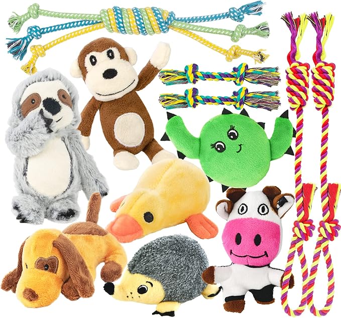 LEGEND SANDY Puppy Toys, Squeaky Dog Toys for Small Dogs, 12 Pack Puppy Chew Toys for Teething, Dog Rope Toy and Cute Stuffed Animals Value Bundle