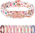 Cute Dinosaur Dog Collar - Adjustable Cartoon Girl Dog Collars for Large Dogs, Heavy Duty Metal Buckle Pet Collar, Pink Dino, L