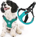 Gooby Escape Free Sport Dog Harness, Choke-Free, Turquoise, Large | Patented escape-free frame; Reduces choking; 4-point adjustment; Soft neoprene padding; Durable webbed straps