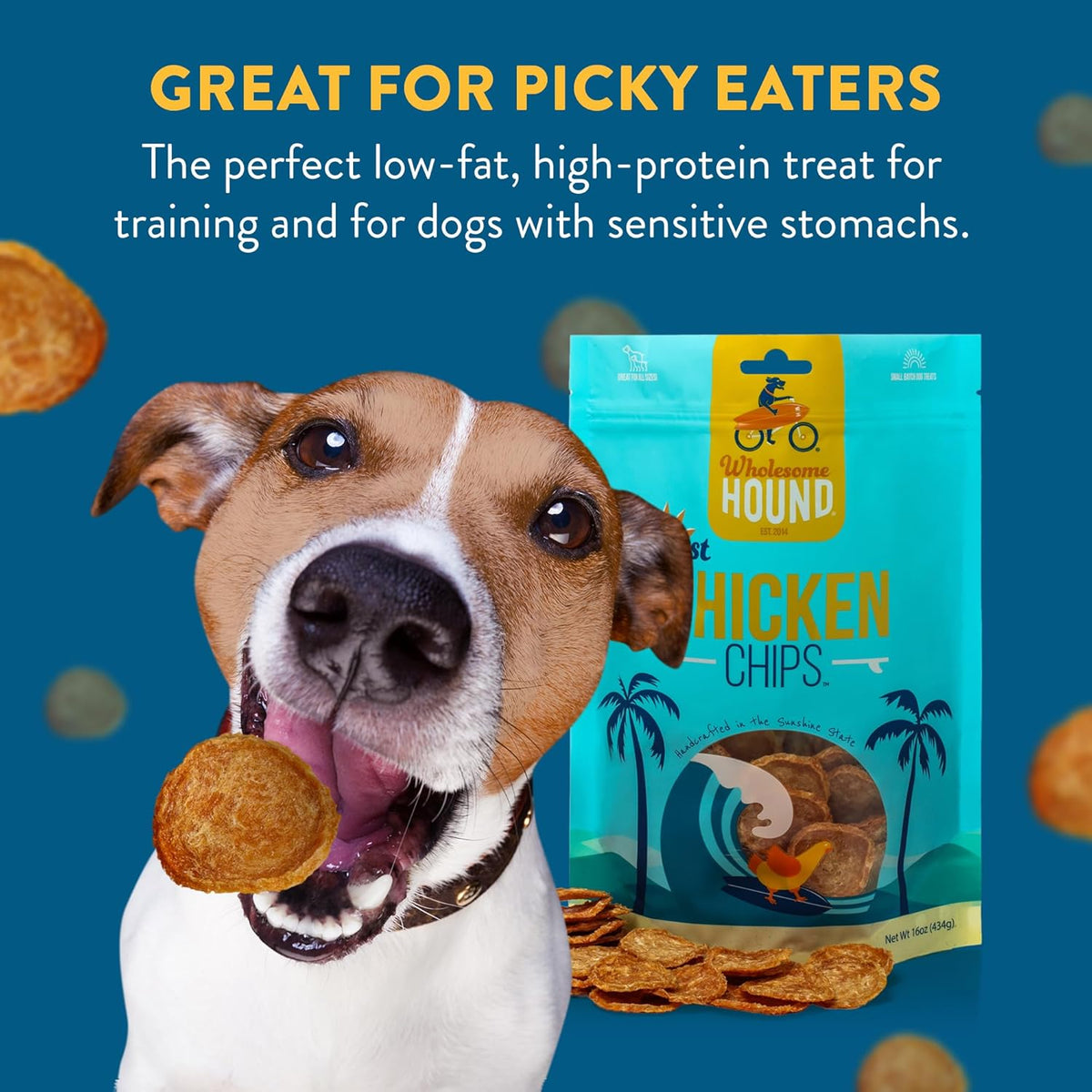 Chicken Chips – Single Ingredient Dog Treats, All Natural & Healthy Training Snacks for Small, Medium & Large Breeds, Puppies – High Protein, Made in USA 16oz
