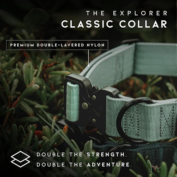 Made to ROAM Premium Explorer Control Collar - Adjustable Heavy Duty Nylon Dog Collar with Quick-Release Metal Buckle and Handle (Arizona Heartbeat, Control Size 3)