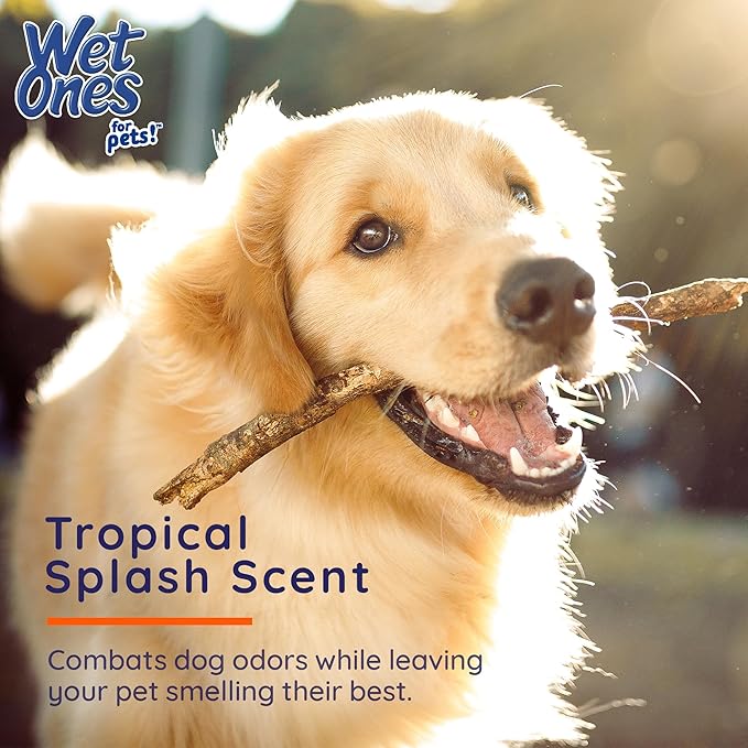 Wet Ones for Pets Antibacterial Heavy Duty Paw Wipes, Tropical Splash Scent - Thick Dog Cleaning Wipes - Scented, Durable and Disposable Dog Wipes for Paws, 50 Count
