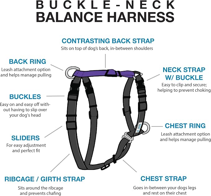 Blue-9 Buckle-Neck Balance Harness, Fully Customizable Fit No-Pull Harness, Ideal for Dog Training and Obedience, Made in The USA, Purple, Large