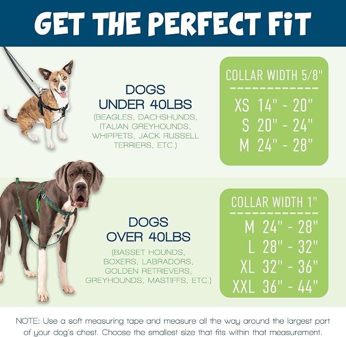 2 Hounds Design Freedom No Pull Dog Harness and Leash, 5/8" SM, Hot Pink | Promotes Easy Walking & Comfortable Control, Secure Fit, Adjustable Harness and Leash Set for Small Sized Dogs, Made in USA