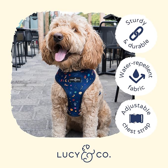 Lucy & Co. Reversible Dog Harness - Water-Repellent Neoprene, Dual-Print Design, Easy Swap Style, Adjustable Comfort Fit - Space Doodle Reversible Harness - X-Large
