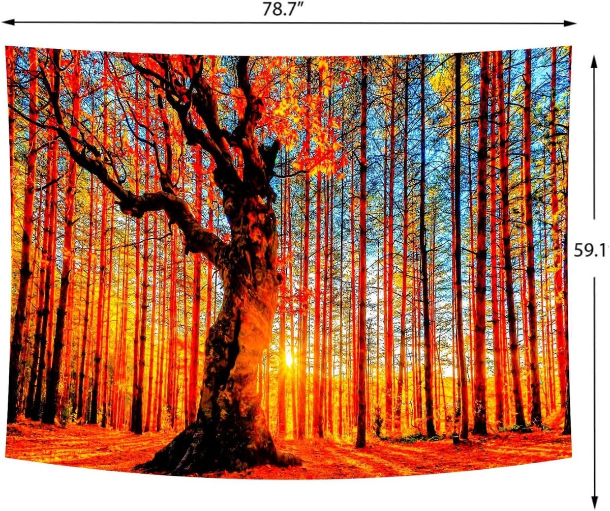 Delur Sunset Forest Tapestry Tree of Life Tropical Rainforest Landscape Tapestry Wall Hanging Scenic Nature Woodland Natural Sunrise Headboard for Bedroom Living Room Home Decor (59.1" x 78.7")