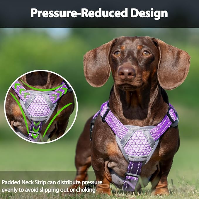 Escape Proof Dog Harness, Dachshund Harness, Reflective Dog Harness with Handle, Durable,Adjustable Vest for Small Medium Large Dogs Walking, Training, and Running Gear (Lavender Purple,L)