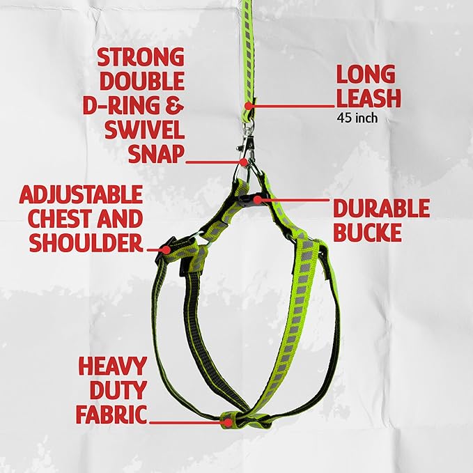 Filbert Cat Harness and Leash Set with Reflective Strip, Thin Cat Harness Escape Proof with Leash, Step-in, Adjustable, Indoor Outdoor, Easy-to-Put-On