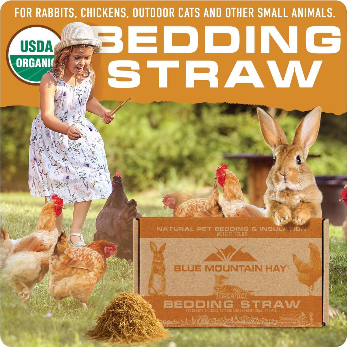 Blue Mountain Hay | Organic Bedding Straw (10 lb) | Natural Pet Bedding & Insulation for Rabbits, Guinea Pigs, Goats, Chickens, Stray & Feral Cats, and Small Animal Shelters
