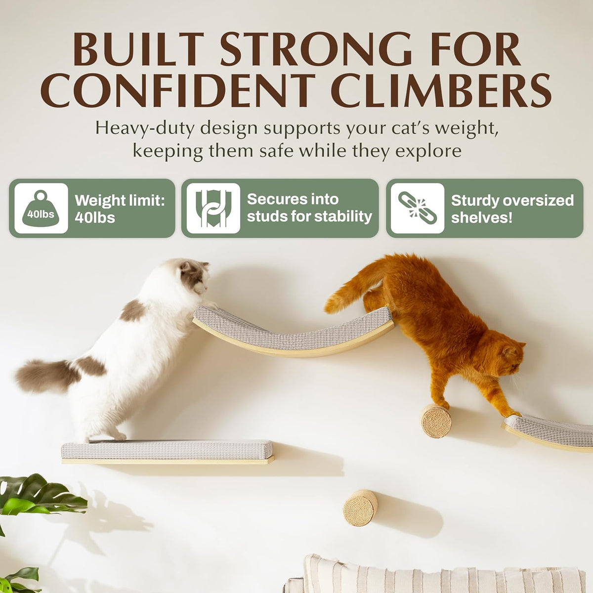 Extra Large 23.6”x12.6” CALLICO HAVEN- Stylish Cat Wall Shelves with Cushion, Modern Wall-Mounted Cat Tree Furniture, Window Cat Shelf & Perch, Sturdy/Hidden Mounts, Washable Cover - Flat Shape