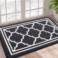 Buganda Indoor Door Mat, Dirt-Resistant and Absorbent Doormat, Anti-Slip, Low Profile Floor Mats for Inside Entryway, Front, and Back Door Entrance (36x24 Inches, Dark Grey)