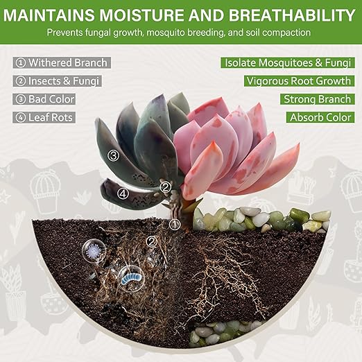 NUPICK 3 lbs Pebbles for Indoor Plants, 3/8 Inch Pea Gravel for Fish Tank, Polished Decorative Rocks for Succulent, Natural River Stones for Vases, Cactus, Landscaping, Bird Bath, Aquarium, Jade