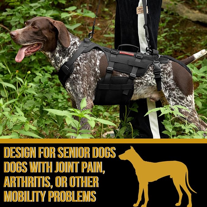 OneTigris Dog Lift Harness for Large Dogs, Dog Hip Support Brace, Full Body Lifter with Handles Invictus Multifunctional Mobility Assistance Vest for Back Legs (Black, Small)