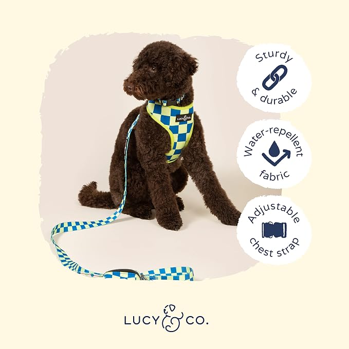 Lucy & Co. Reversible Dog Harness - Water-Repellent Neoprene, Dual-Print Design, Easy Swap Style, Adjustable Comfort Fit - Have a Nice Day Reversible Harness - Small