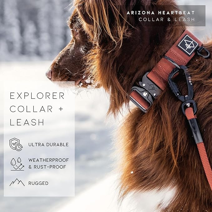 Made to ROAM Premium Dog Collar - Adjustable Heavy Duty Nylon Collar with Quick-Release Metal Buckle (Oregon Haze, Classic Size 3)