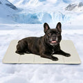 Cooling Dog Mat Q-Max>0.5 - Rapid Cooling Tech, Thin Breathable Crate Pad, Portable Washable Summer Mat, Chill Soothing Fabric - 30"x20" Medium Dog, Dark Beige