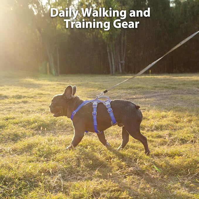 Escape Proof Dog Harness, No Pull Reflective Harness with Lift Handle, Adjustable Pet Vest with Front and Back Leash Clips for Small Medium Large Dogs Walking Hiking Training (Vista Blue,XL)
