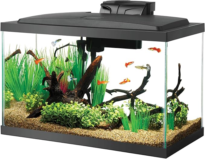Aqueon Glass Aquarium Fish Tank Starter Kit with LED Lighting, 10 Gallon