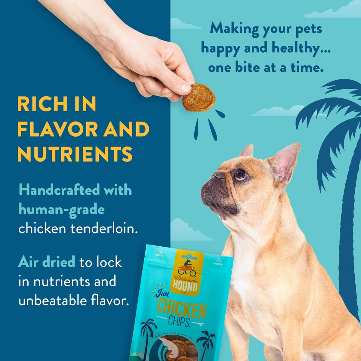 Chicken Chips – Single Ingredient Dog Treats, All Natural & Healthy Training Snacks for Small, Medium & Large Breeds, Puppies – High Protein, Made in USA 16oz