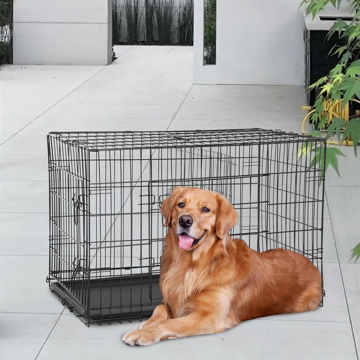 FDW Dog Crate for Large Dogs 48 Inch Folding Metal WirePet Cage Double Door W/Divider Panel Indoor Outdoor Kennel Leak-Proof Plastic Tray,Black